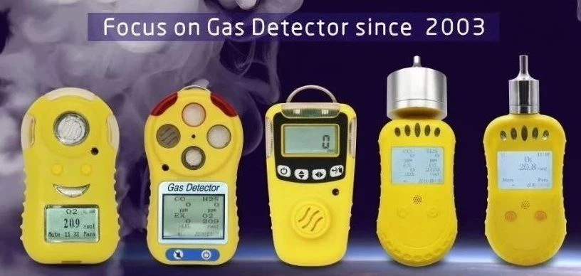 Portable gas detector