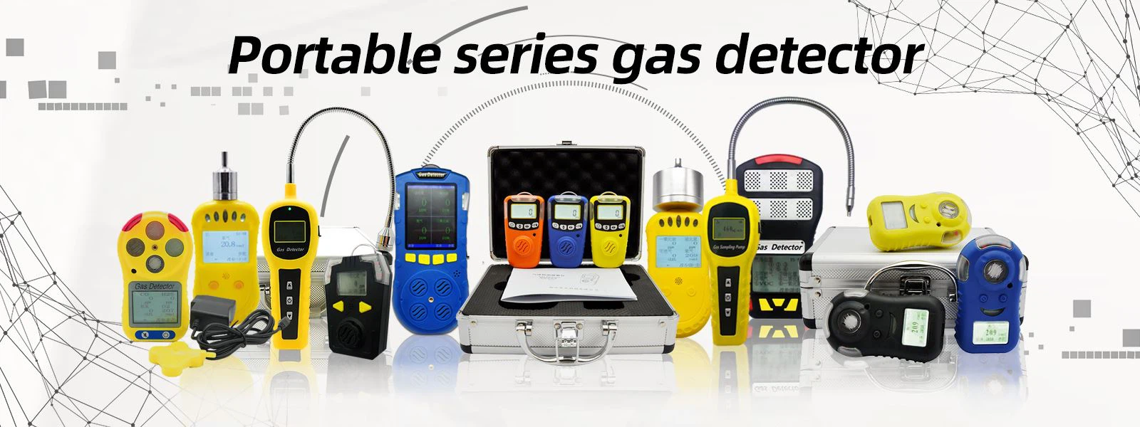 Portable Gas Detector