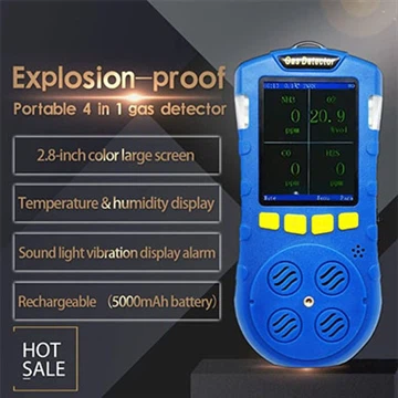 Which Gases Are Detected by the Four-in-one Gas Detector?
