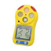 Multi Gas Meters